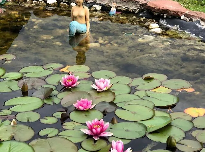 Haus Adams - Wohlfuehl Gaestehaus * Boppard