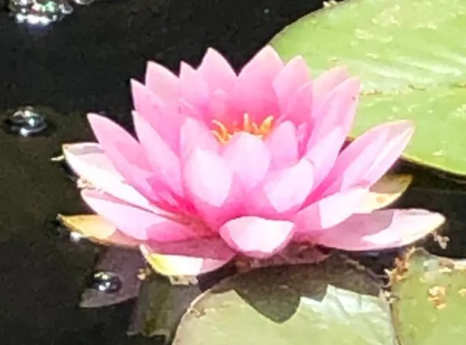 Hotel Haus Adams - Wohlfuehl Gaestehaus *