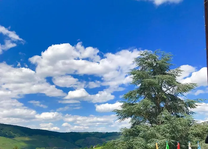 Haus Adams - Wohlfuehl Gaestehaus Hotel Boppard