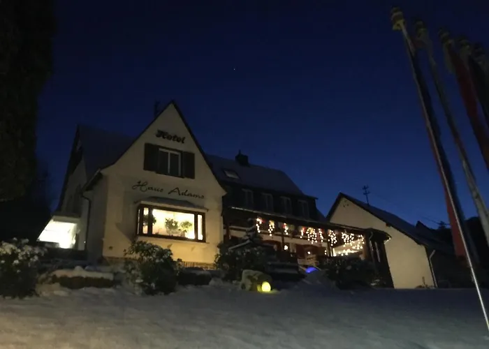 Hotel Haus Adams - Wohlfuehl Gaestehaus *