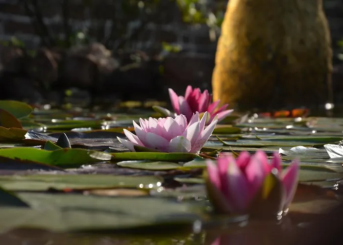 Haus Adams - Wohlfuehl Gaestehaus